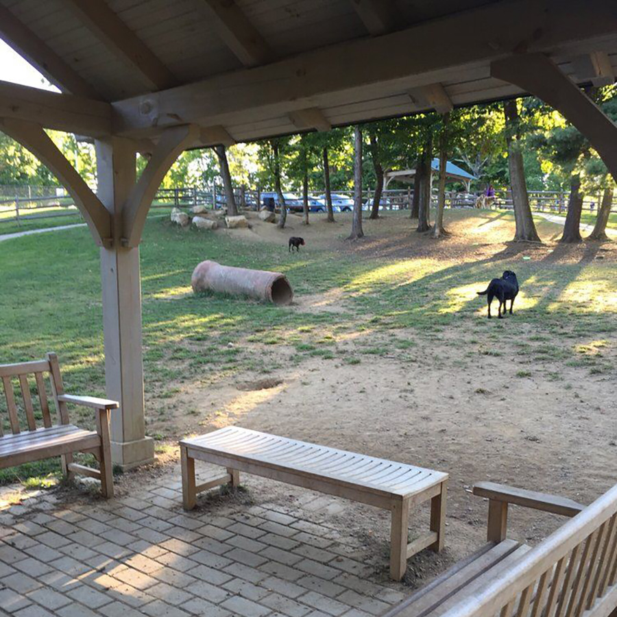 PetFriendly Places in the Litchfield Hills CTvisit